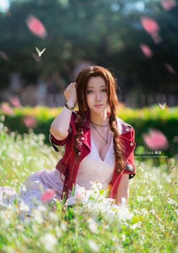 七龙珠在线观看