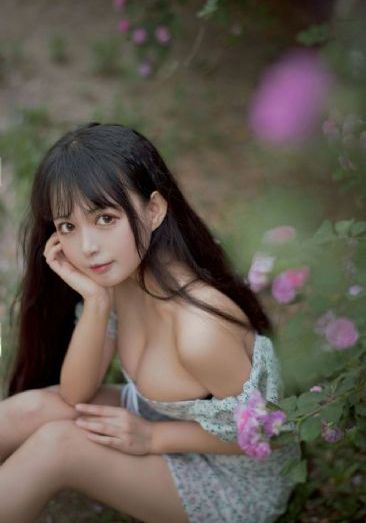 精灵幻想记 第二季 动漫
