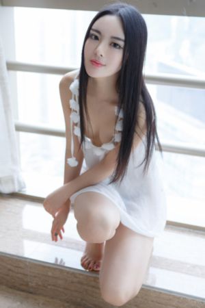 动感之星全集