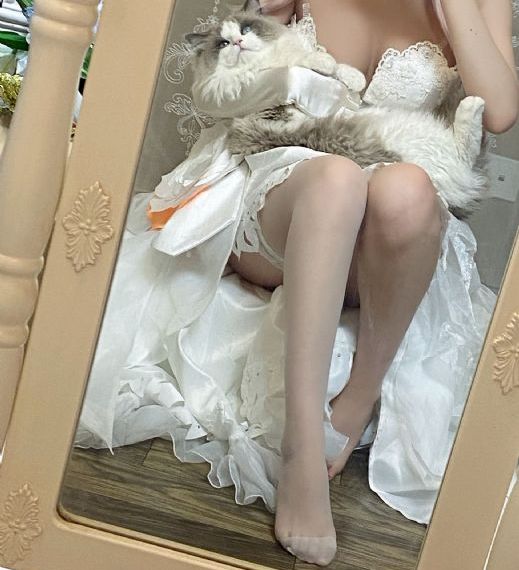 我独自升级第二季