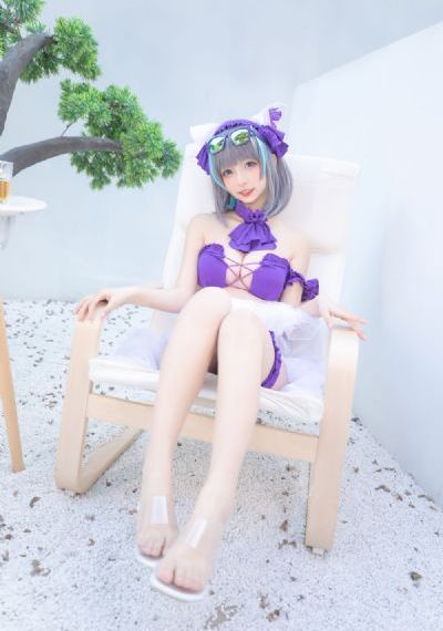 盒子里的猫在线观看视频全集高清