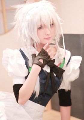 狗狗博客