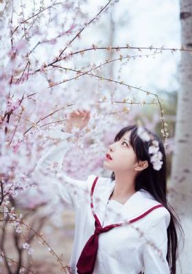 丁香花高清在线观看